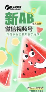 梅花实验室2024年AB技术视频号AB合成破解版-遨游资源库