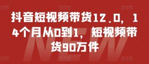 抖音短视频带货12.0，14个月从0到1，短视频带货90万件-遨游资源库