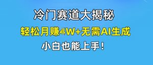 冷门赛道大揭秘，轻松月赚1W+无需AI生成，小白也能上手【揭秘】-遨游资源库