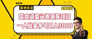 国内调查问卷矩阵项目，一人批量多号月入3000【揭秘】-遨游资源库