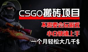 CSGO 装备搬砖项目，操作简单，不需要会玩游戏，小白也能快速上手，一个月轻松大几千【揭秘】-遨游资源库