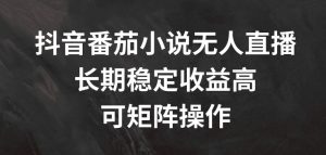 抖音番茄小说无人直播，长期稳定收益高，可矩阵操作【揭秘】-遨游资源库