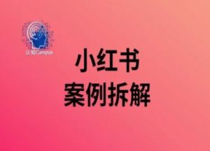 小红书案例拆解，深度解读小红书40万粉-遨游资源库