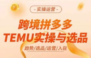跨境拼多多TEMU实操与选品，多多temu跨境选品运营实操-遨游资源库