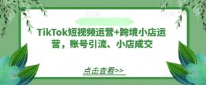 TikTok短视频运营+跨境小店运营，账号引流、小店成交-遨游资源库
