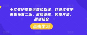 小红书IP变现运营私教课，打通红书IP变现任督二脉，底层逻辑、实操方法、战训结合-遨游资源库