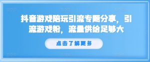 抖音游戏陪玩引流专题分享，引流游戏粉，流量供给足够大-遨游资源库