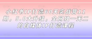 小红书IP打造60天实战营11期,5.0大升级,全网独一无二的自媒体IP打造课程-遨游资源库
