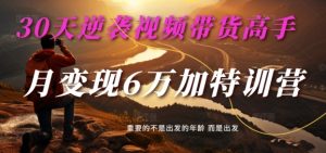 30天逆袭视频带货高手，单月变现6万加特训营-麦子甜-遨游资源库