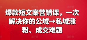爆款短文案营销课，一次解决你的公域→私域涨粉、成交难题-遨游资源库