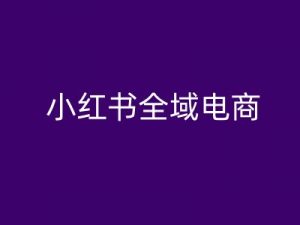 小红书全域电商，小红书电商教程-遨游资源库
