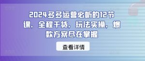 2024多多运营必听的12节课，全程干货，玩法实操，爆款方案尽在掌握-遨游资源库
