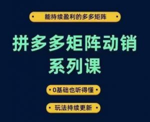 拼多多矩阵动销系列课，能持续盈利的多多矩阵，0基础也听得懂，玩法持续更新-遨游资源库