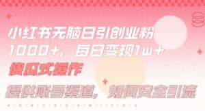 小红书无脑每日引流创业粉500+，小白每天只花半小时，躺赚长尾收益【揭秘】-遨游资源库