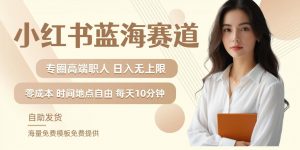 小红书蓝海赛道，圈中高端职场人，月入无上限，可矩阵，内含私域实操教程!-遨游资源库