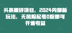 头条搬砖项目，2024内部新玩法，无风险起号0粉即可开通收益-遨游资源库