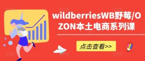 wildberriesWB野莓/OZON本土电商系列课,掌握WB产品优化,出单技巧和订单处理等-遨游资源库