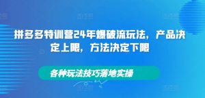 拼多多特训营24年爆破流玩法，产品决定上限，方法决定下限，各种玩法技巧落地实操-遨游资源库