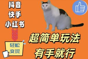 超简单玩法，有手就行，靠猫咪视频日入500+【揭秘】-遨游资源库