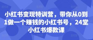 小红书变现特训营，带你从0到1做一个赚钱的小红书号，24堂小红书爆款课-遨游资源库