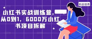 小红书实战训练营，从0到1，6000万小红书项目拆解-遨游资源库