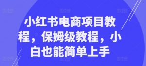 小红书电商项目教程，保姆级教程，小白也能简单上手-遨游资源库