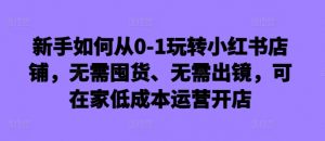 新手如何从0-1玩转小红书店铺，无需囤货、无需出镜，可在家低成本运营开店-遨游资源库