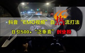 抖音EMO视频自热打法，日引500+“泛垂直”创业粉-遨游资源库