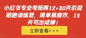 小红书专业号矩阵12+30天引流陪跑训练营，简单易操作，15天可出成绩!-遨游资源库