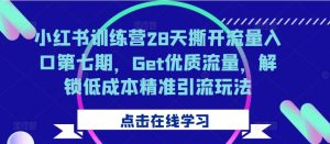 小红书训练营28天撕开流量入口第七期，Get优质流量，解锁低成本精准引流玩法-遨游资源库
