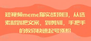 短视频meme猫实战项目，从选素材到把文案，到剪辑，手把手的教你快速起号涨粉-遨游资源库