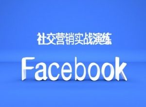 Facebook社交营销实战演练，外贸人绝对不能错过的营销推广平台-遨游资源库
