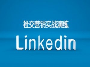 社交营销实战演练之Linkedin营销课程，B2B跨境外贸的新出路-遨游资源库