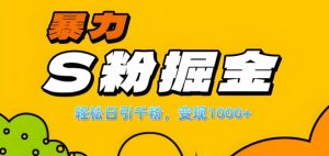 单人单机日引千粉，变现1k+，S粉流量掘金计划攻略【揭秘】-遨游资源库