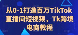 从0-1打造百万TikTok直播间短视频，Tk跨境电商教程-遨游资源库