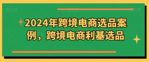 2024年跨境电商选品案例，跨境电商利基选品（更新11月）-遨游资源库