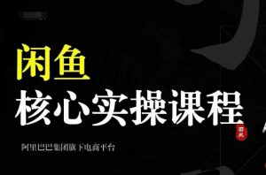 2024闲鱼核心实操课程，从养号、选品、发布、销售，教你做一个出单的闲鱼号-遨游资源库