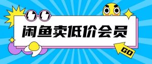 外面收费998的闲鱼低价充值会员搬砖玩法号称日入200+-遨游资源库