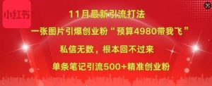 小红书11月最新图片打粉，一张图片引爆创业粉，“预算4980带我飞”，单条引流500+精准创业粉-遨游资源库