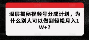 深层揭秘视频号分成计划,为什么别人可以做到轻松月入1W+?-遨游资源库