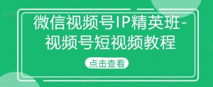 微信视频号IP精英班-视频号短视频教程-遨游资源库