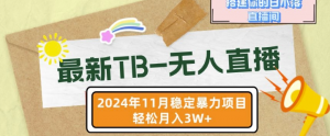【最新TB-无人直播】11月最新，打造你的日不落直播间，轻松月入过W【揭秘】-遨游资源库