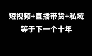 短视频+直播带货+私域等于下一个十年，大佬7年实战经验总结-遨游资源库