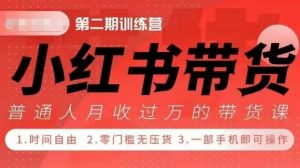 小Red书带货42天训练营 2.0版，宝妈+自由职+上班族+大学生，提高副业收入的大红利项目-遨游资源库