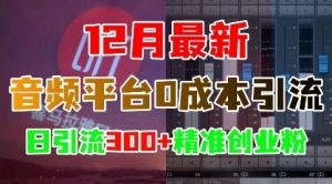 12月最新:音频平台0成本引流,日引流300+精准创业粉-遨游资源库