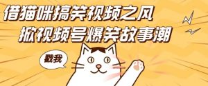 借猫咪搞笑视频之风，掀视频号爆笑故事潮，轻松日入四位数，无门槛快速入门!-遨游资源库