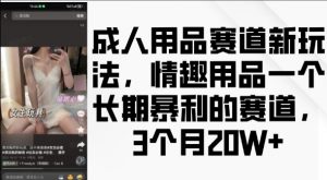 成人用品赛道新玩法，情趣用品一个长期暴利的赛道，3个月收益20个【揭秘】-遨游资源库