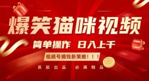 爆笑猫咪视频:简单操作,日入过K,视频号搞钱新策略【揭秘】-遨游资源库