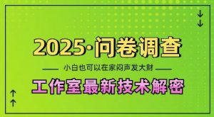 2025问卷调查最新工作室技术解密：一个人在家也可以闷声发大财，小白一天2张，可矩阵放大【揭秘】-遨游资源库