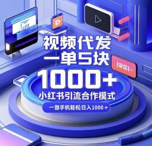 视频代发，一单5块，小红书引流合作模式，一部手机轻松日入多张【揭秘】-遨游资源库